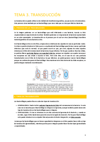 Tema-3.-Transduccion.pdf