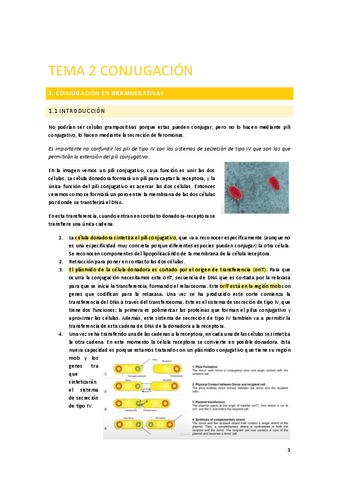 Tema-2.-Conjugacion-EGM.pdf