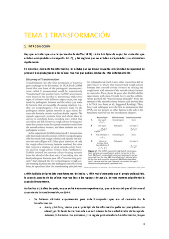 Tema-1.-Transformacion.pdf
