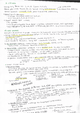 Tema-3-lipidos.pdf