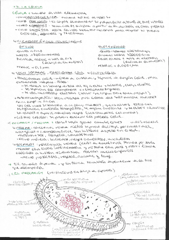 Tema-7-la-celula.pdf