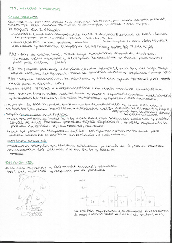 Tema-8-mitosis-y-meiosis.pdf