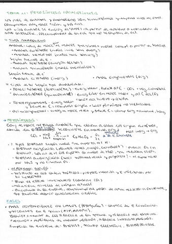 Tema-11-fotosintesis-y-quimiosintesis.pdf