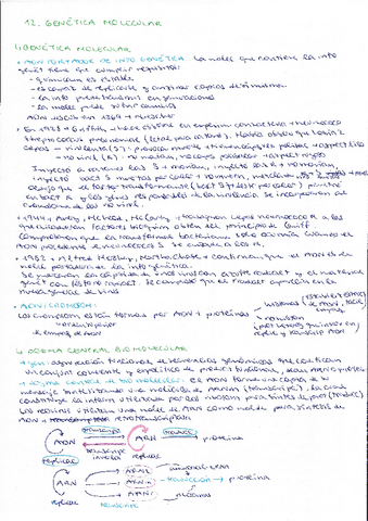 Tema-12-genetica-molecular.pdf