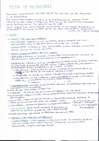 Tema-13-mutaciones.pdf