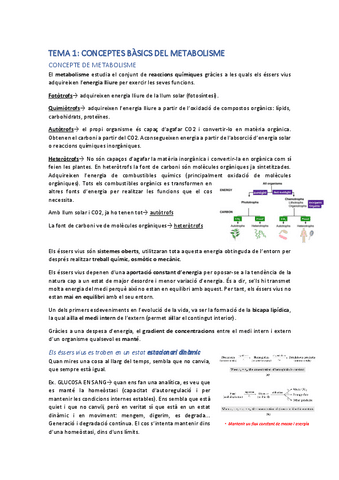 1r-parcialBSM.pdf