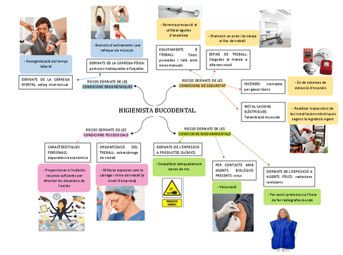 Mapa-Conceptual-Riscos-duna-Higienista.pdf
