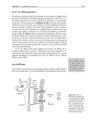 bma-44.pdf