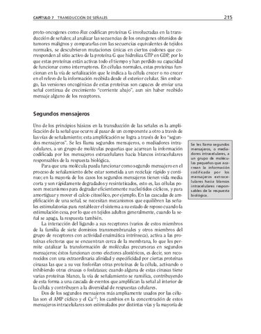 bma-52.pdf