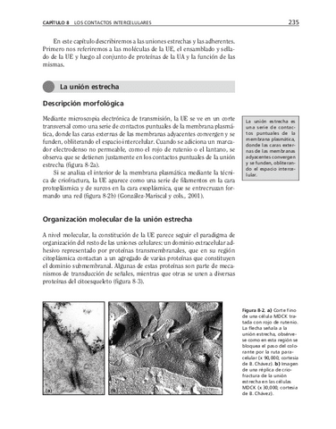 bma-56.pdf