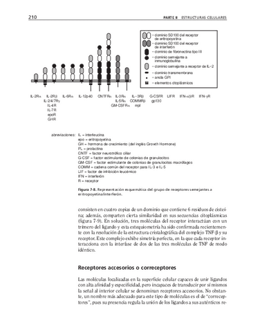 bma-51.pdf