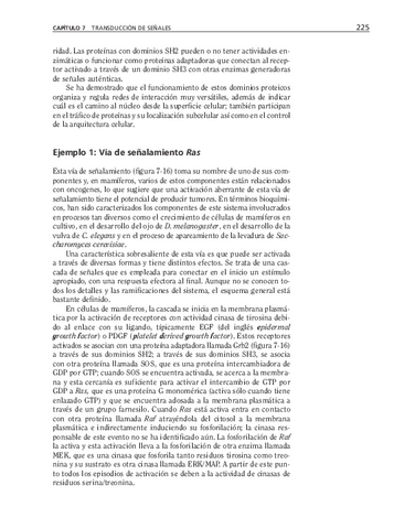 bma-54.pdf