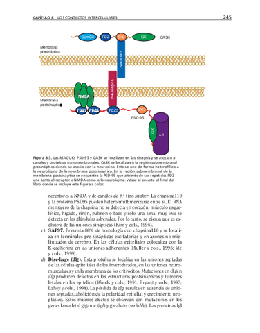 bma-58.pdf