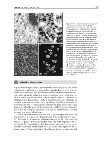 bma-64.pdf