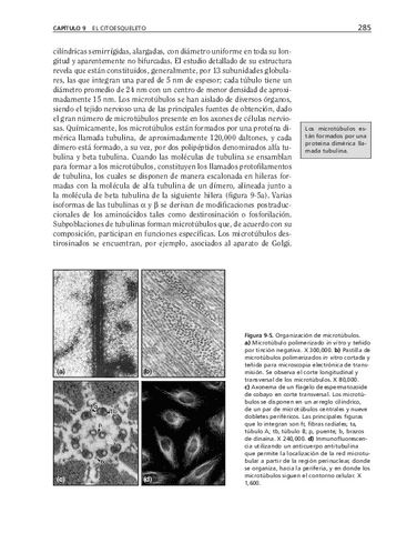 bma-66.pdf