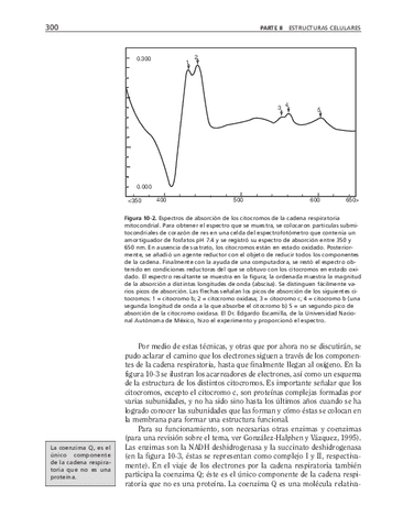bma-69.pdf