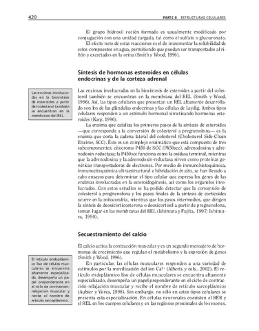 bma-93.pdf