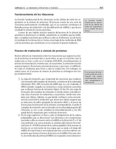 bma-90.pdf
