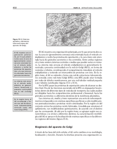 bma-99.pdf