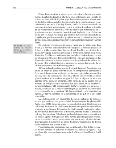 bma-123.pdf