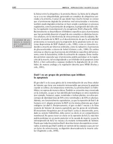 bma-137.pdf