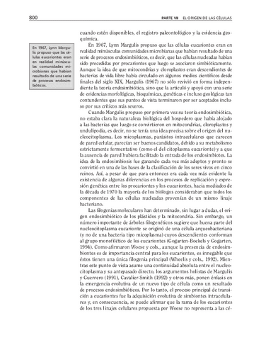 bma-169.pdf