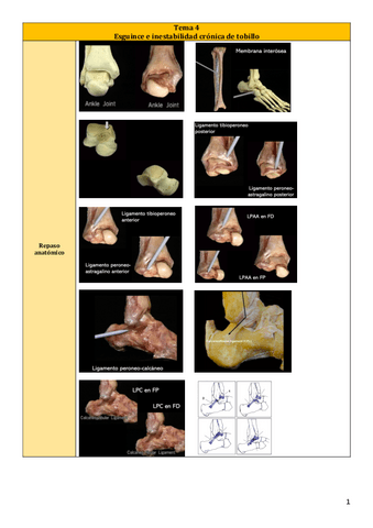 Tema-4.pdf