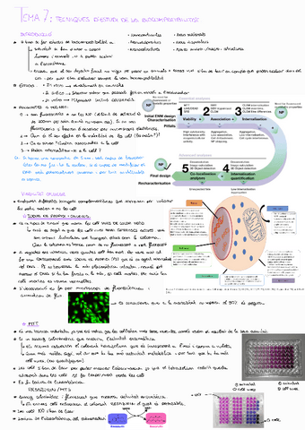 Tema-7-Cultius-Cellulars.pdf