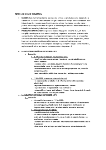 TEMA-6.-geografia-finaaaal.docx.pdf