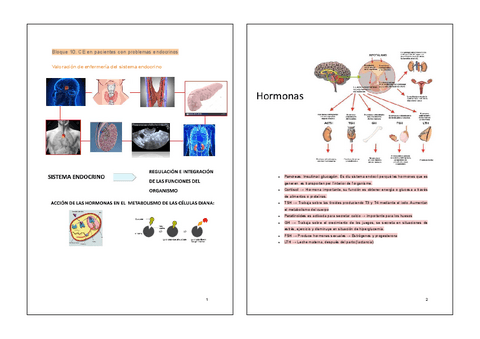 Bloque-10.-CE-patologia-endocrina-2.pdf