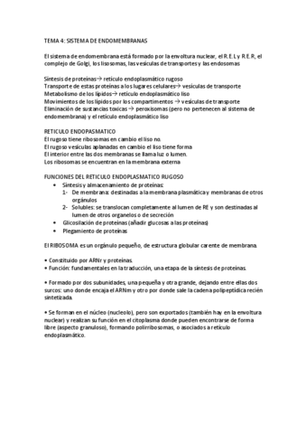 TEMA-4.pdf