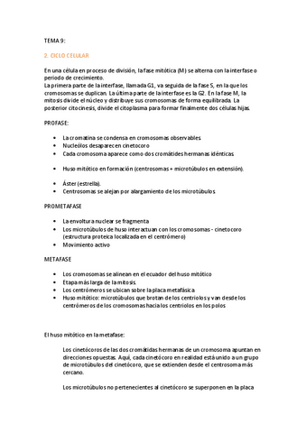 TEMA-9.pdf