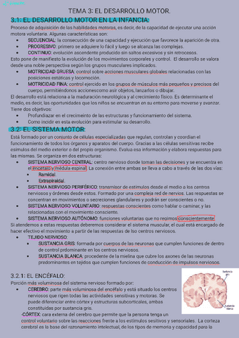 DLLO-COGYMOTR-T3-Y-PARTE-4.pdf