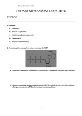 Examen Metabolismo 2014.pdf