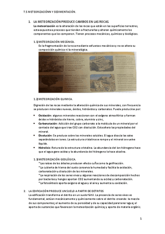 TEMA5.pdf