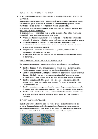 BIOLOGIA-TEMA-4.pdf
