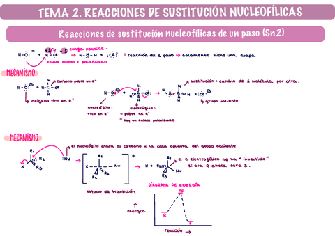 Tema-2-quimica-organica.pdf