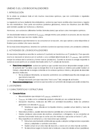 UNIDAD-5-II.pdf