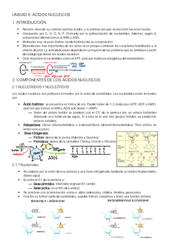 UNIDAD-6.pdf