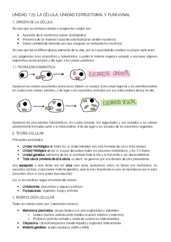 UNIDAD-7.pdf