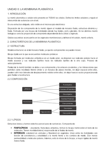 UNIDAD-8.pdf