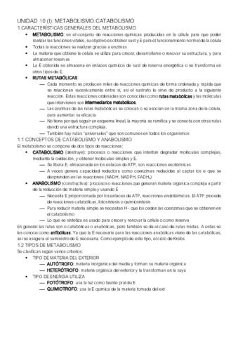 UNIDAD-10-I.pdf