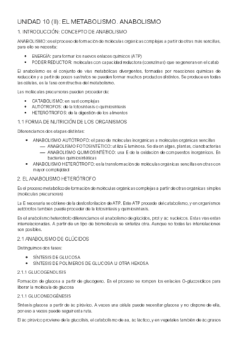 UNIDAD-10-II.pdf