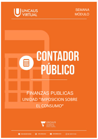 IMPOSICION-SOBRE-EL-CONSUMO.pdf