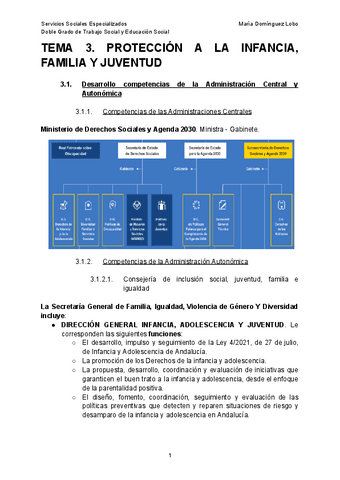 TEMA-3-SSSSE.pdf