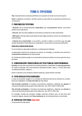 TEMA-5.-Tipicidad.pdf