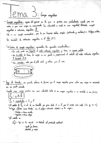 APUNTES-TEMA-3-CAMPO-MAGNETICO-EVAU-FISICA-FORTUNY.pdf