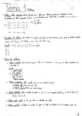 APUNTES-ALGEBRA-TEMAS-1-3-EVAU-MATEMATICAS-II-FORTUNY.pdf