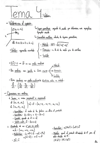 APUNTES-GEOMETRIA-EN-EL-ESPACIO-TEMAS-4-6-EVAU-MATEMATICAS-II-FORTUNY.pdf