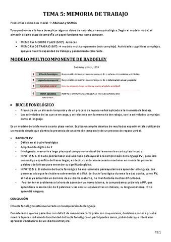 T5_MEMORIA DE TRABAJO.pdf